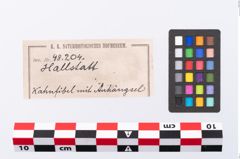 Etikett zu Bronzekahnfibel (NHMW-PRAE-048204)